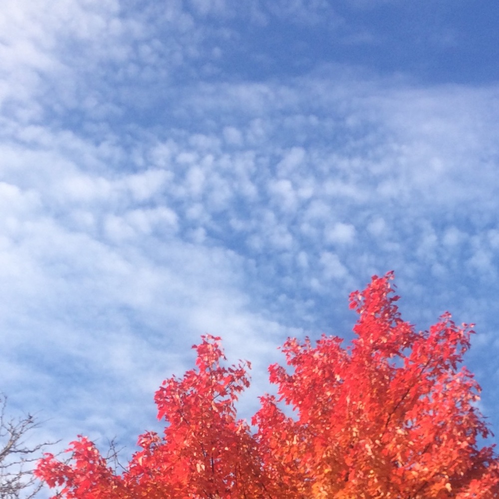 Meet your Posher, Michaela